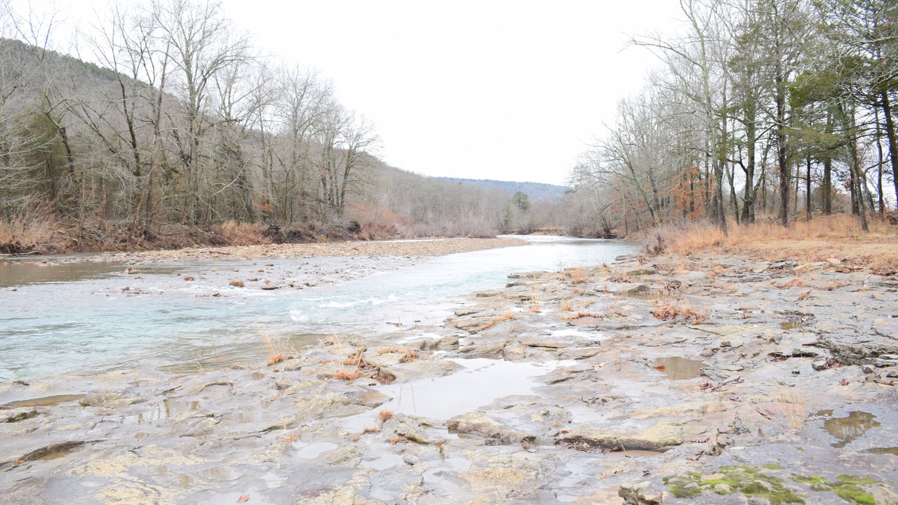 Photo of Others in Oark