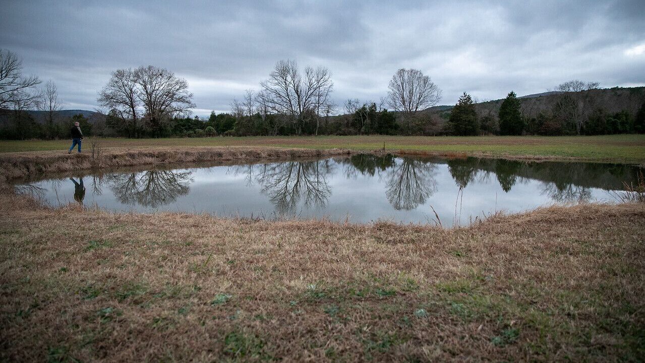 Photo of Outdoor in Oark