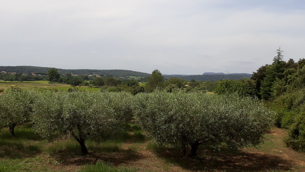 Photo of Outdoor in Combas