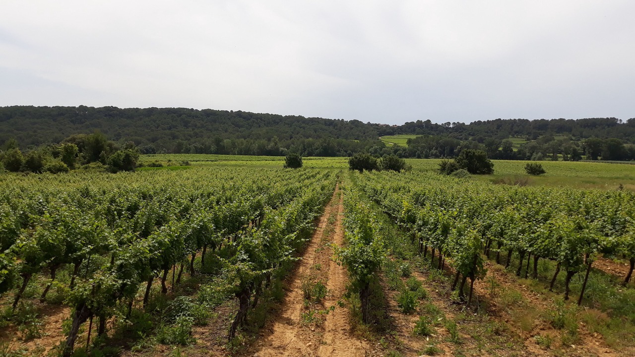 Photo of Outdoor in Combas