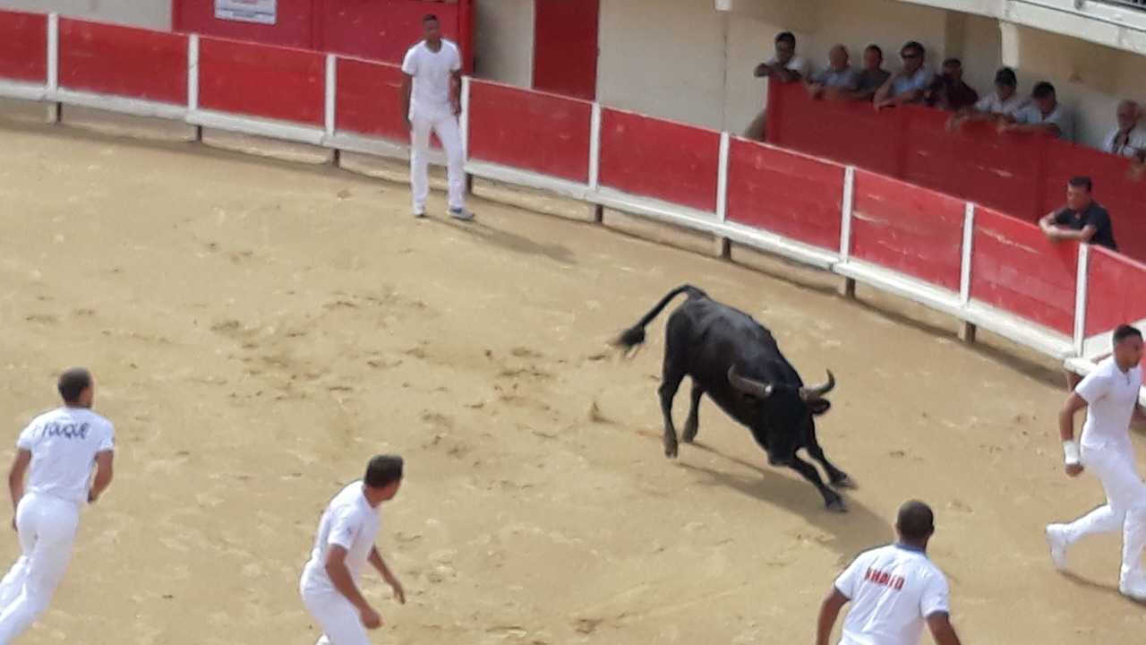 Photo of Others in Combas