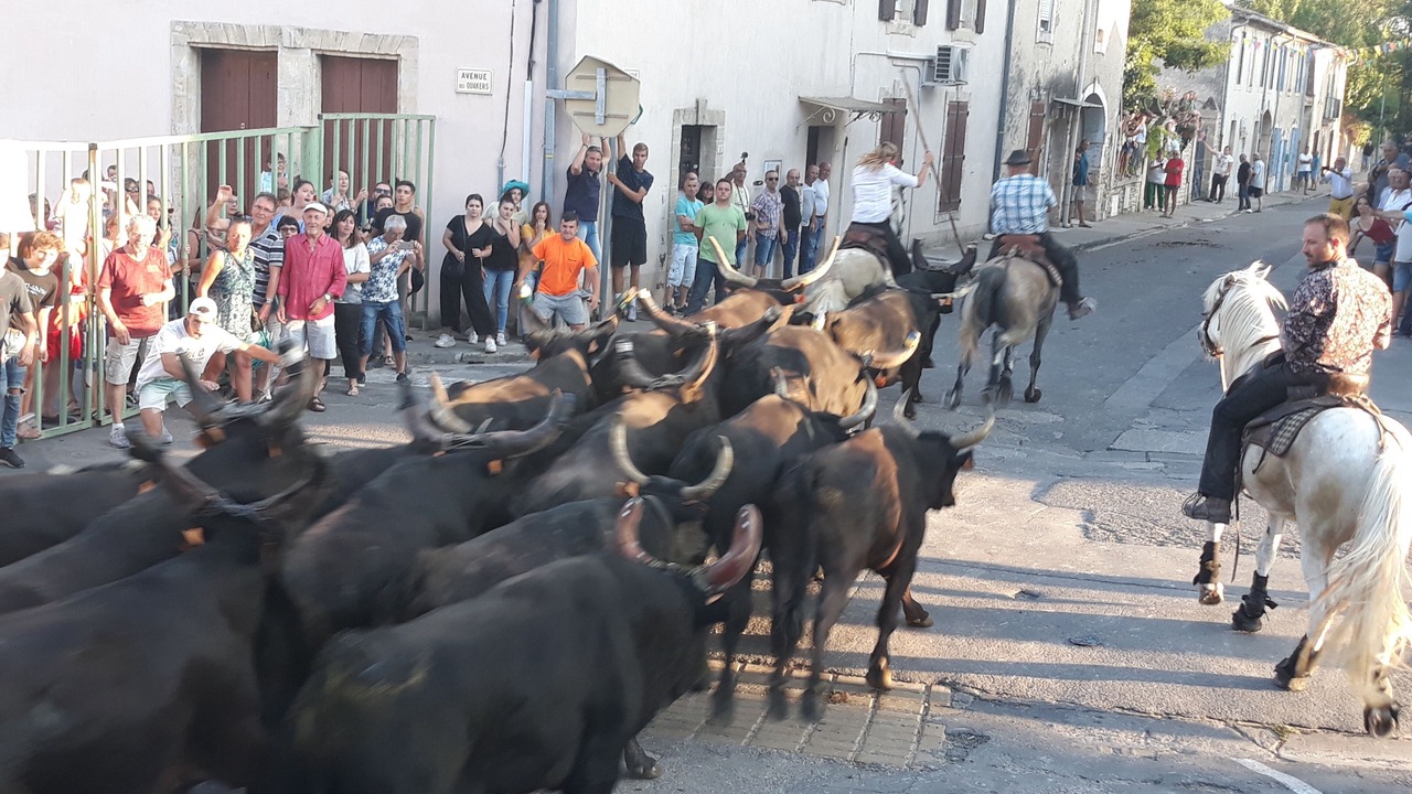 Photo of Others in Combas