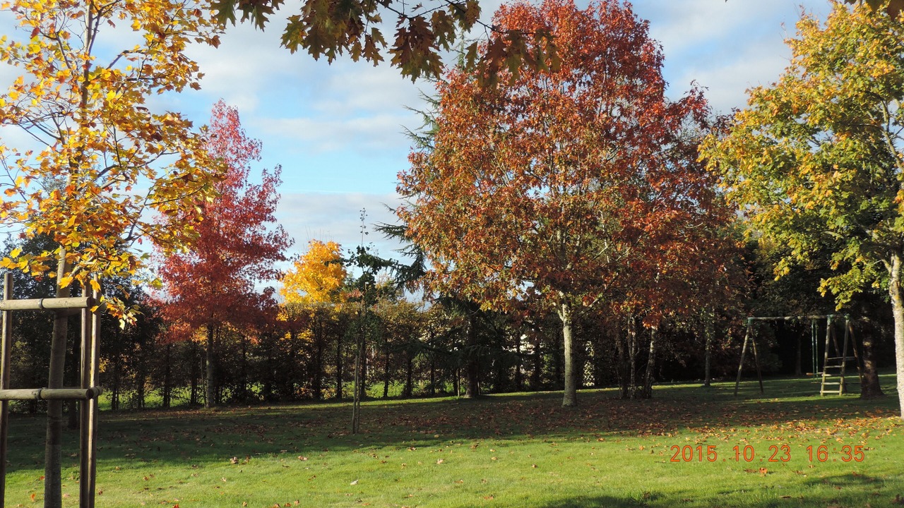 Photo of Outdoor in Bourneau