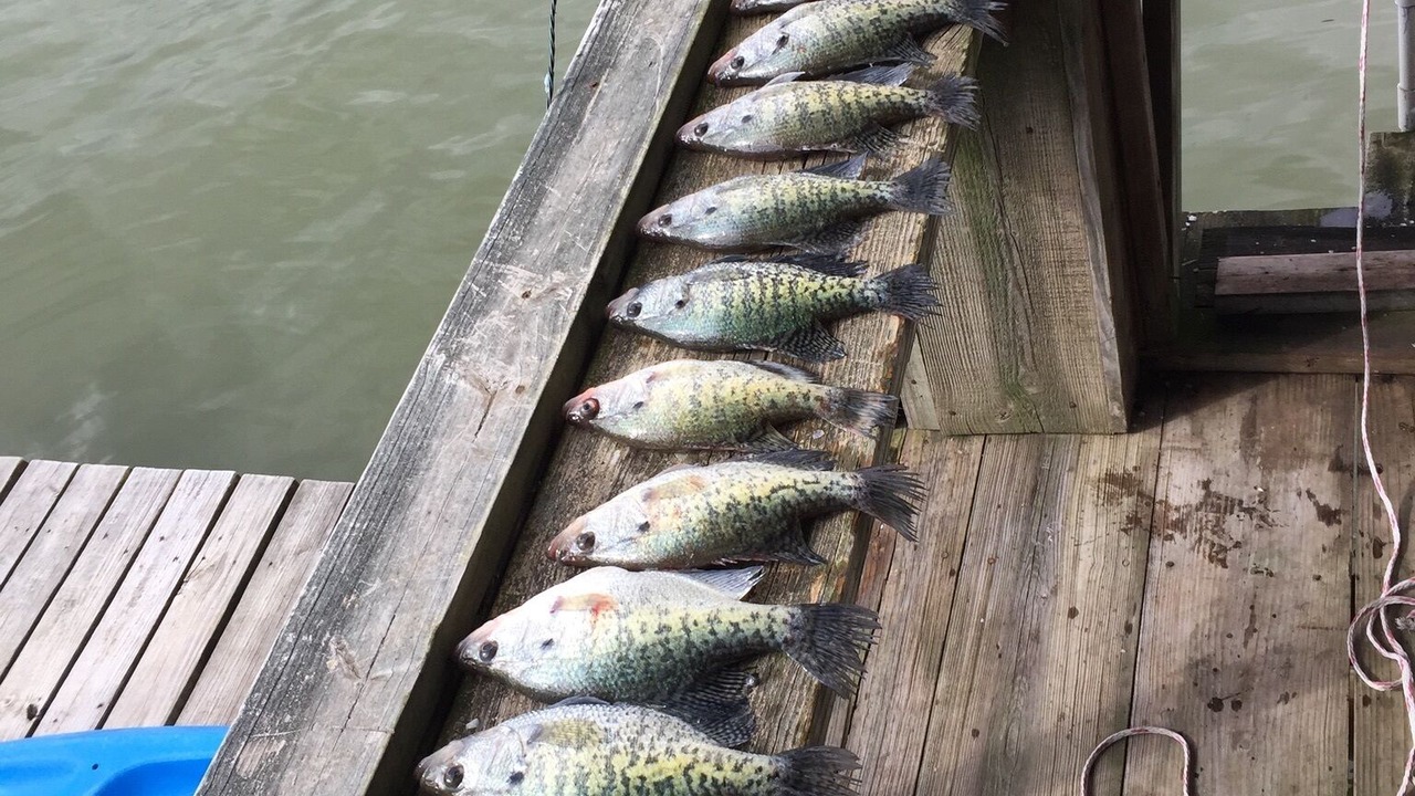 Photo of Outdoor in Horseshoe Lake