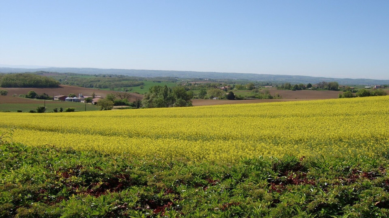 Photo of Outdoor in Cadalen