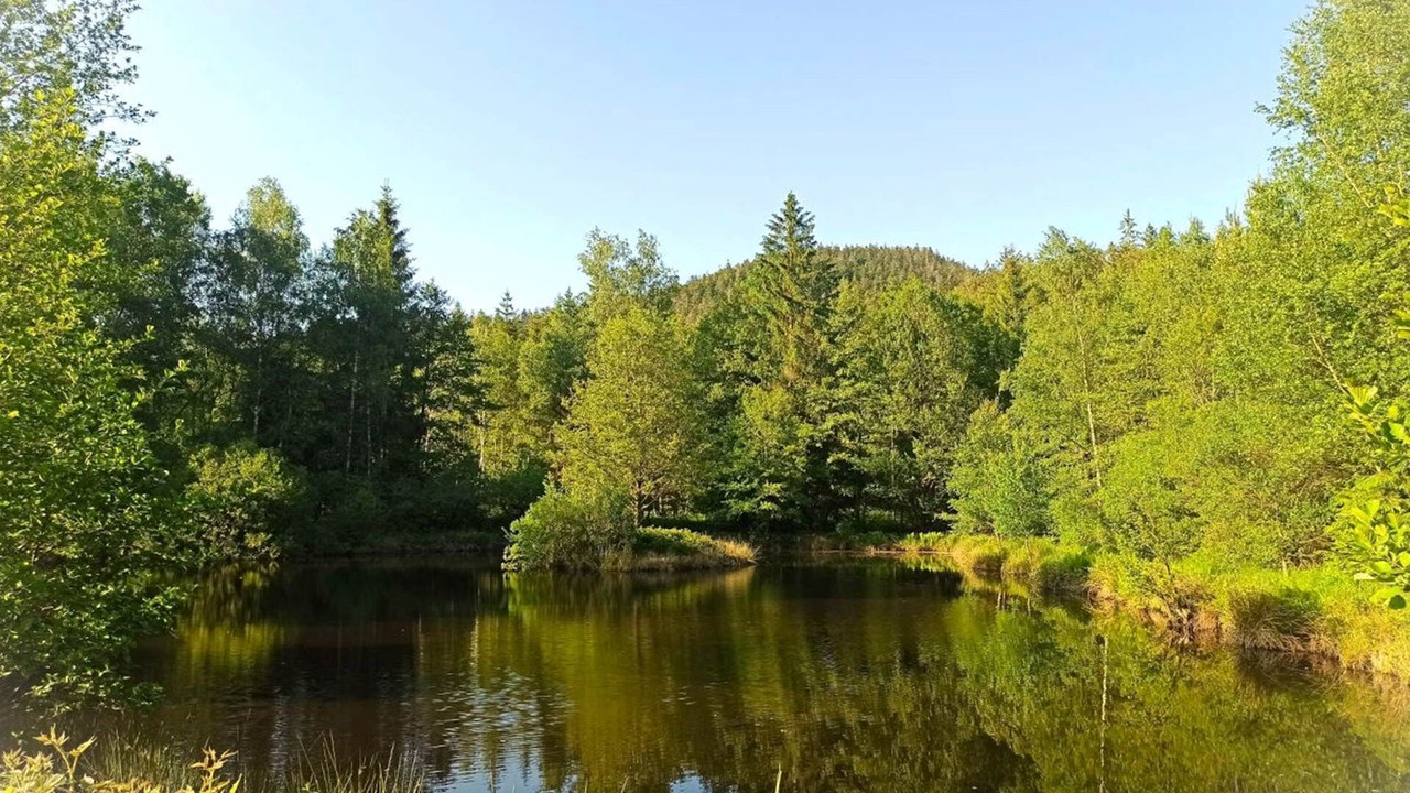 Photo of Others in Mesnil Sous Les Cotes