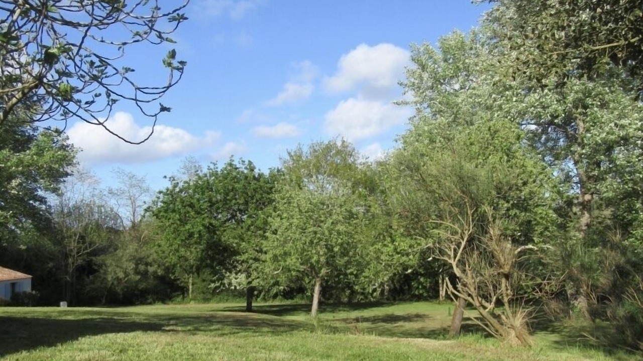 Photo of Outdoor in Ile d'Yeu