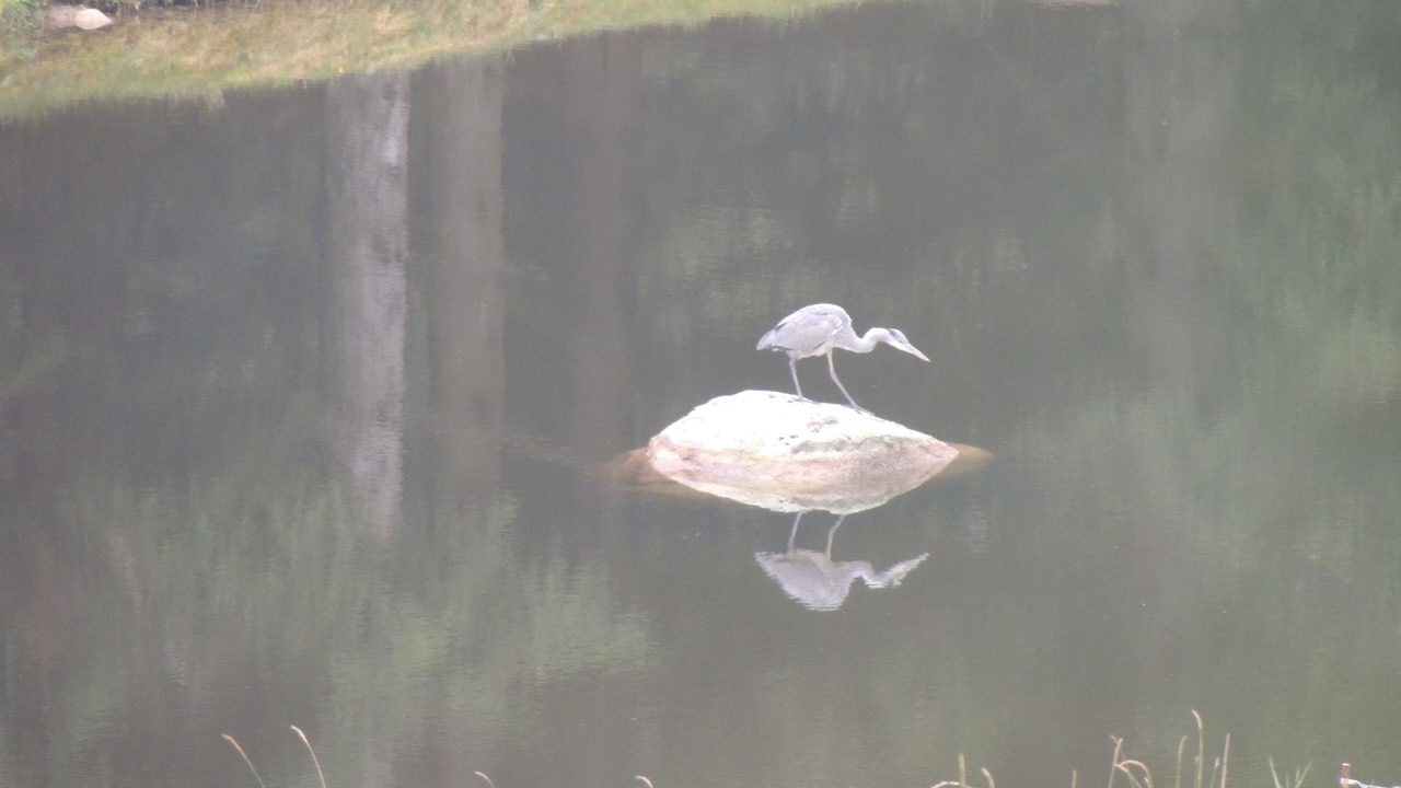 Photo of Others in Granges-Aumontzey