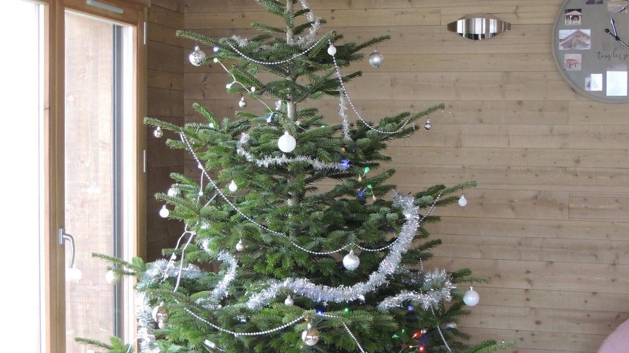 Photo of Others in Granges-Aumontzey