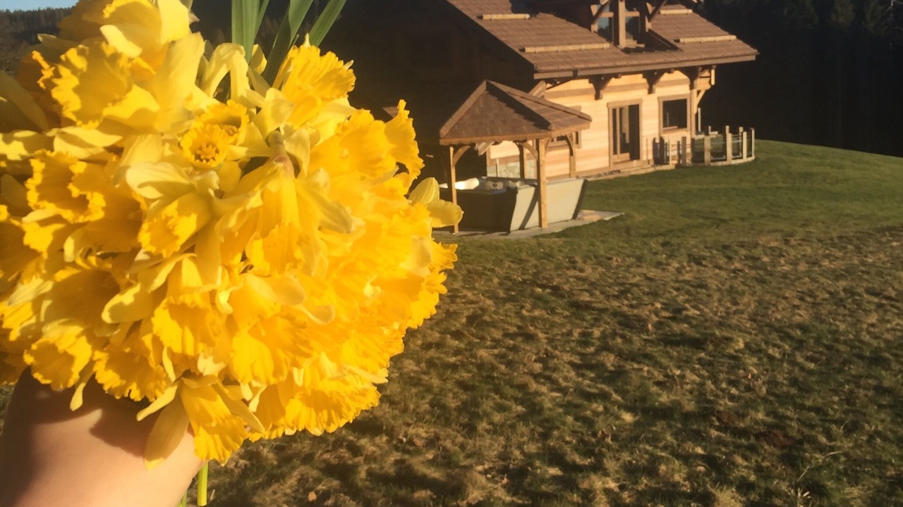 Photo of Outdoor in Granges-Aumontzey