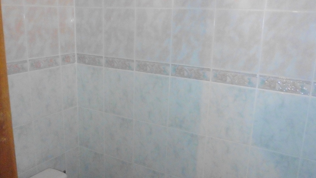 Photo of Bathroom in Peyrat-la-Noniere