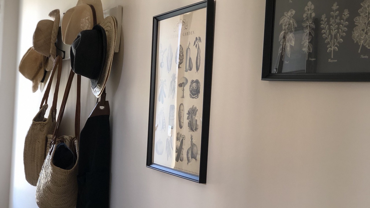 Photo of Others in Lacoste