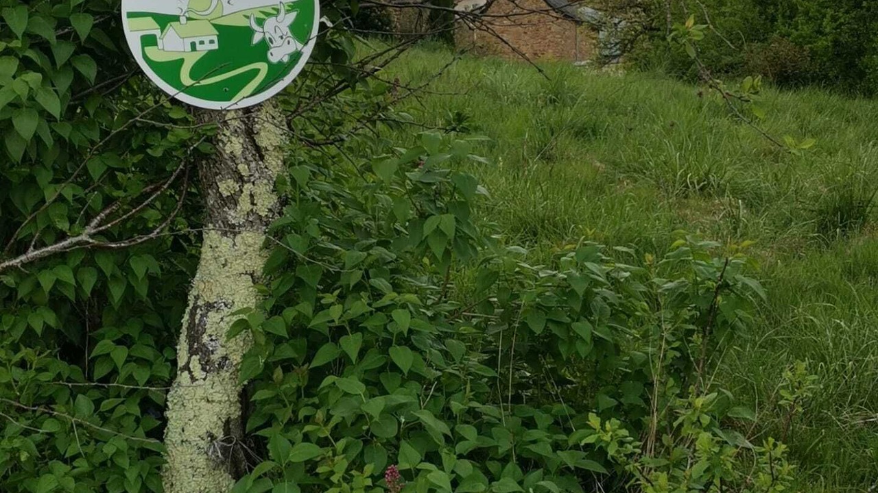 Photo of Outdoor in Firmi