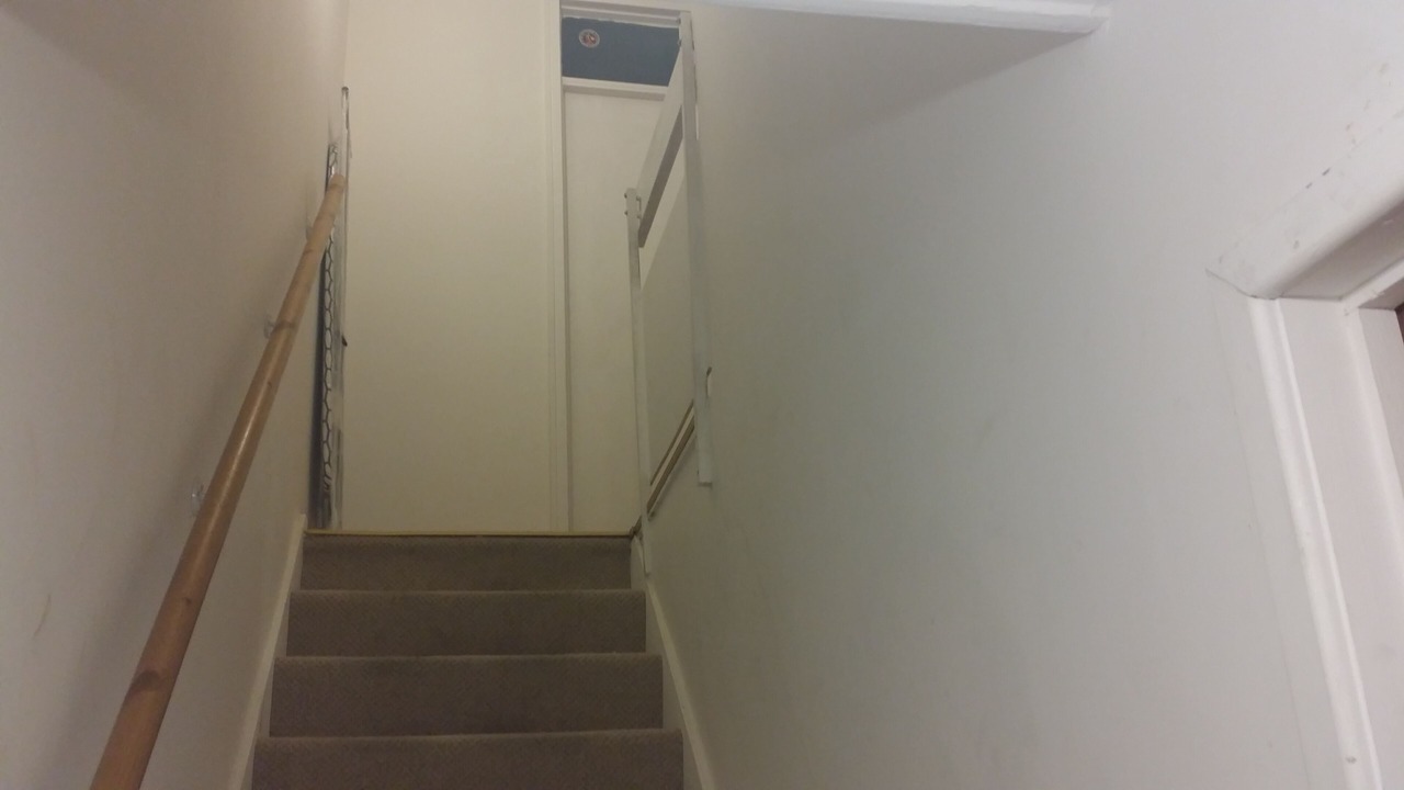 Photo of Others in Tottenham