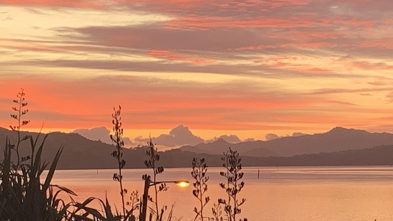 Photo of Others in Onerahi