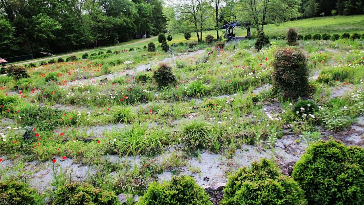 Photo of Outdoor in Springfield
