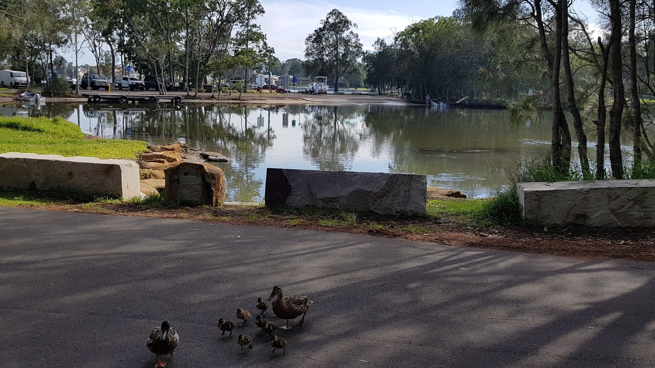 Photo of Others in Summerland Point