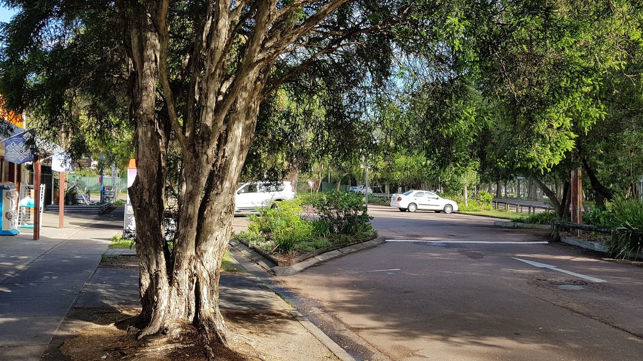 Photo of Others in Summerland Point