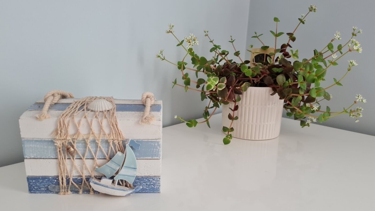 Photo of Others in Summerland Point