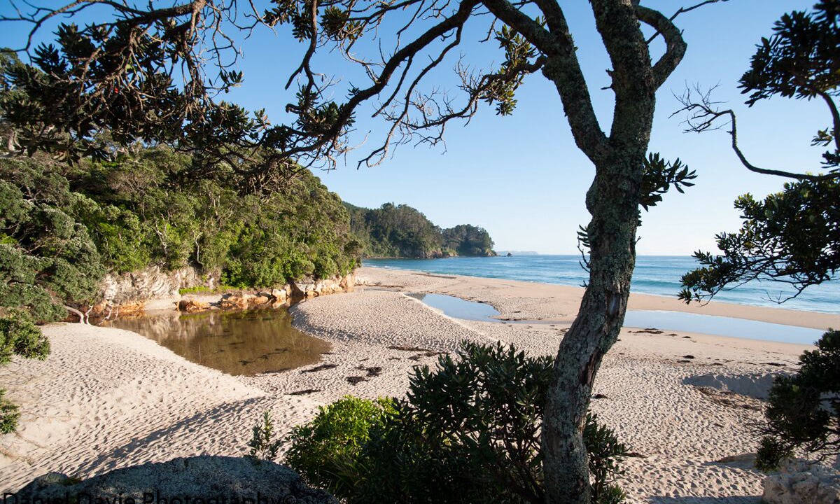 Photo of Others in Onemana