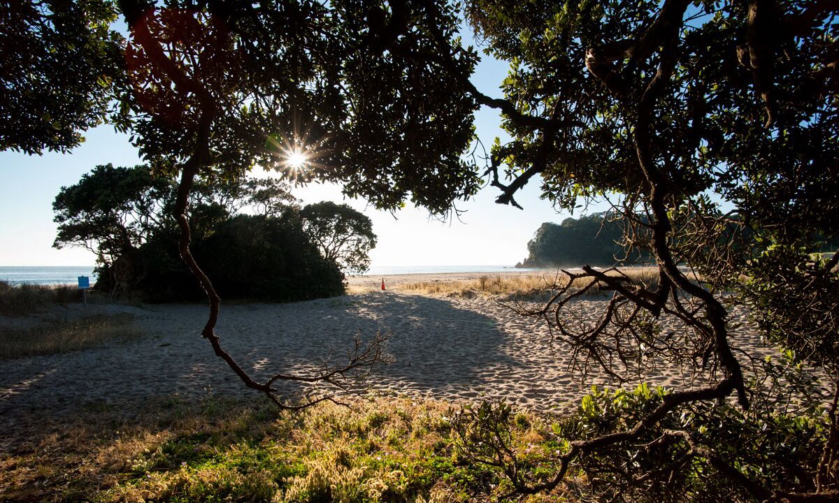 Photo of Others in Onemana