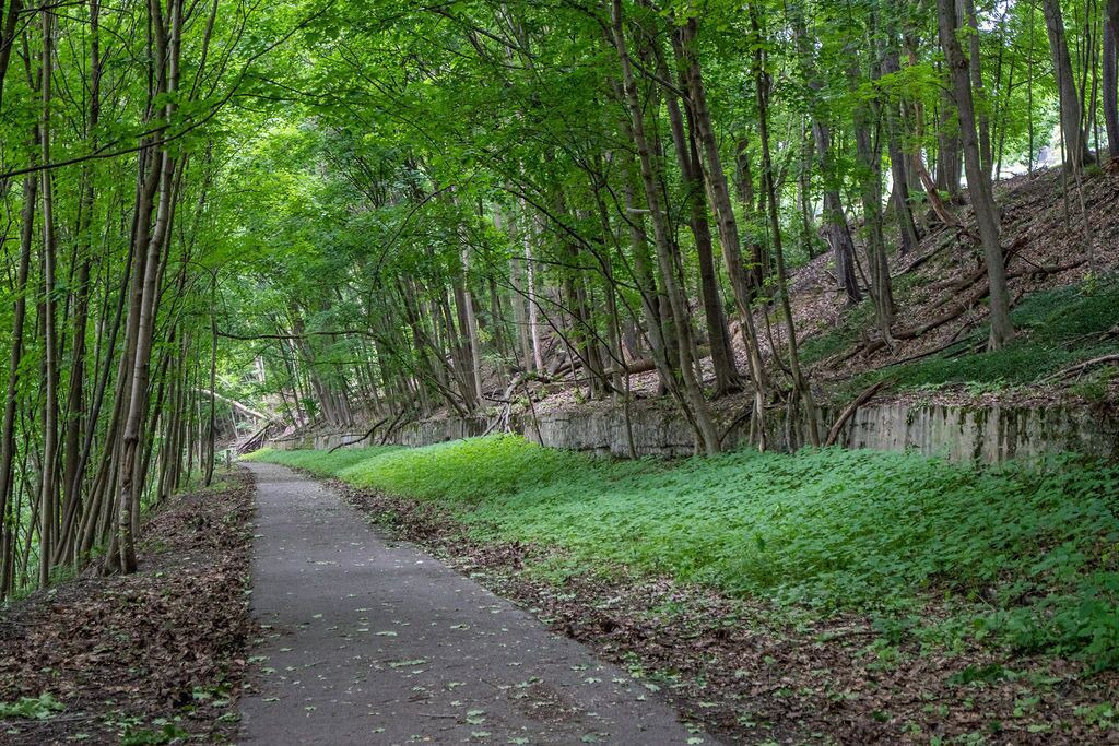 Photo of Outdoor in Hermitage