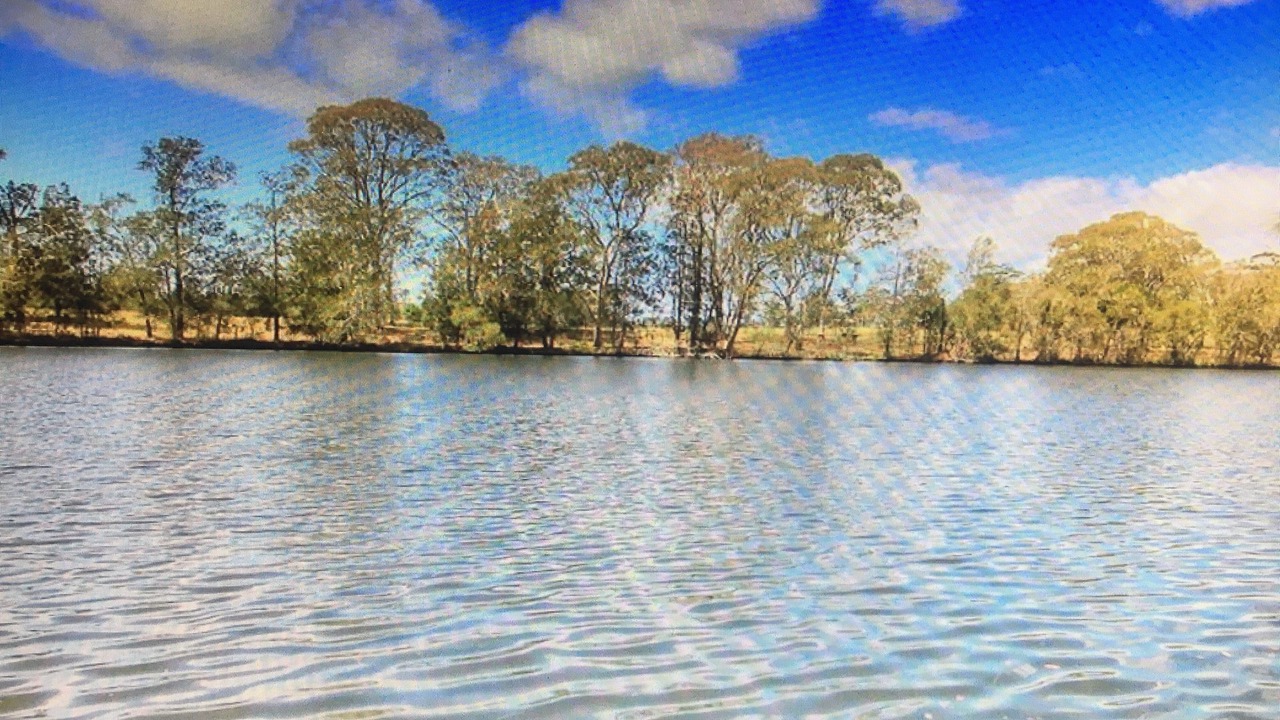 Photo of Outdoor in Dora Creek