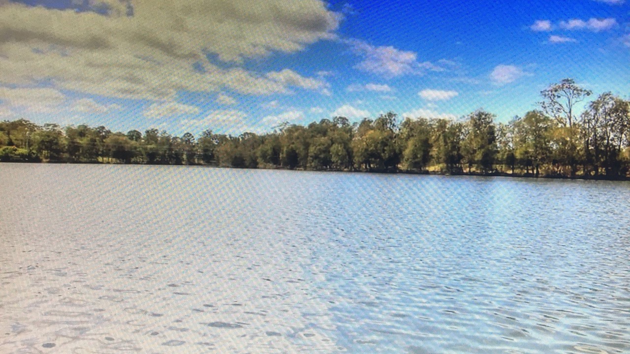 Photo of Others in Dora Creek