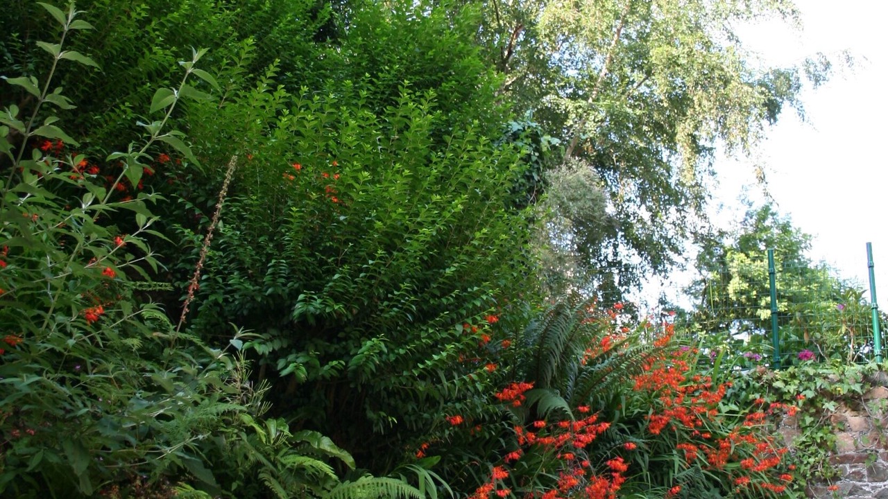 Photo of Outdoor in Perros-Guirec