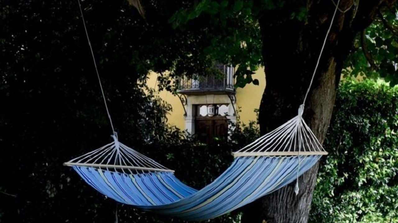 Photo of Outdoor in Prechacq-Navarrenx