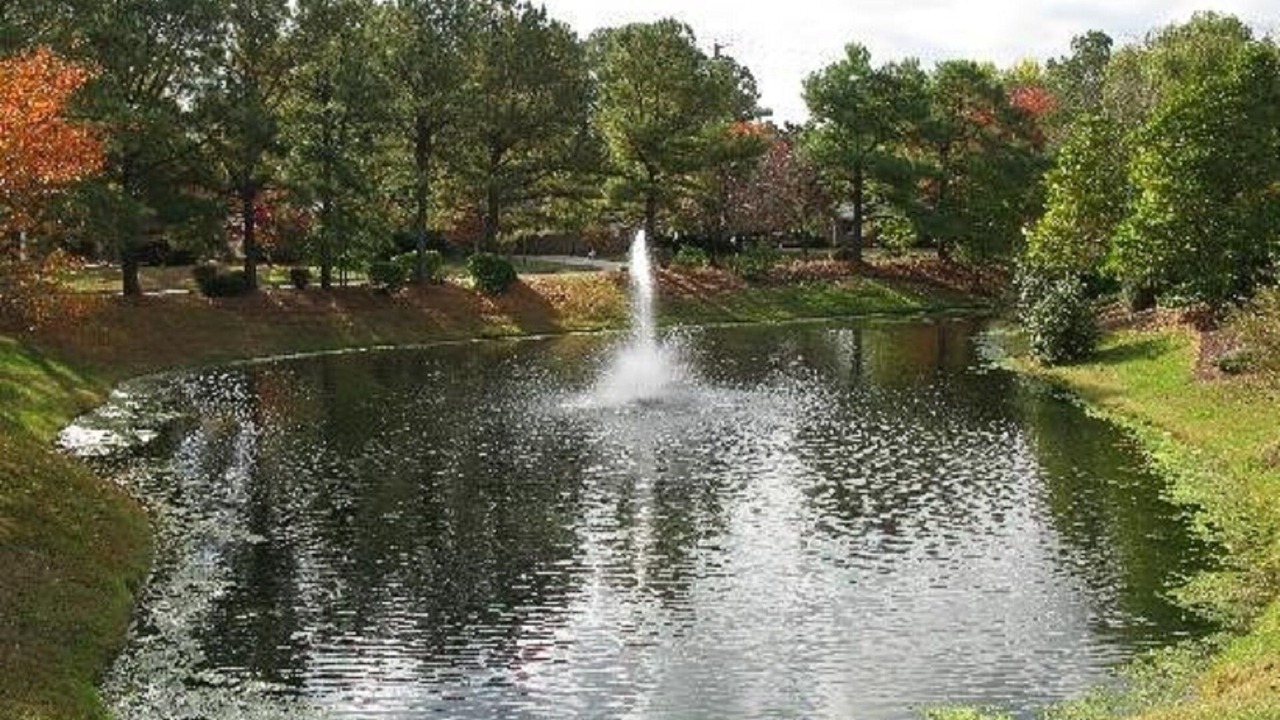 Photo of Outdoor in Williamsburg