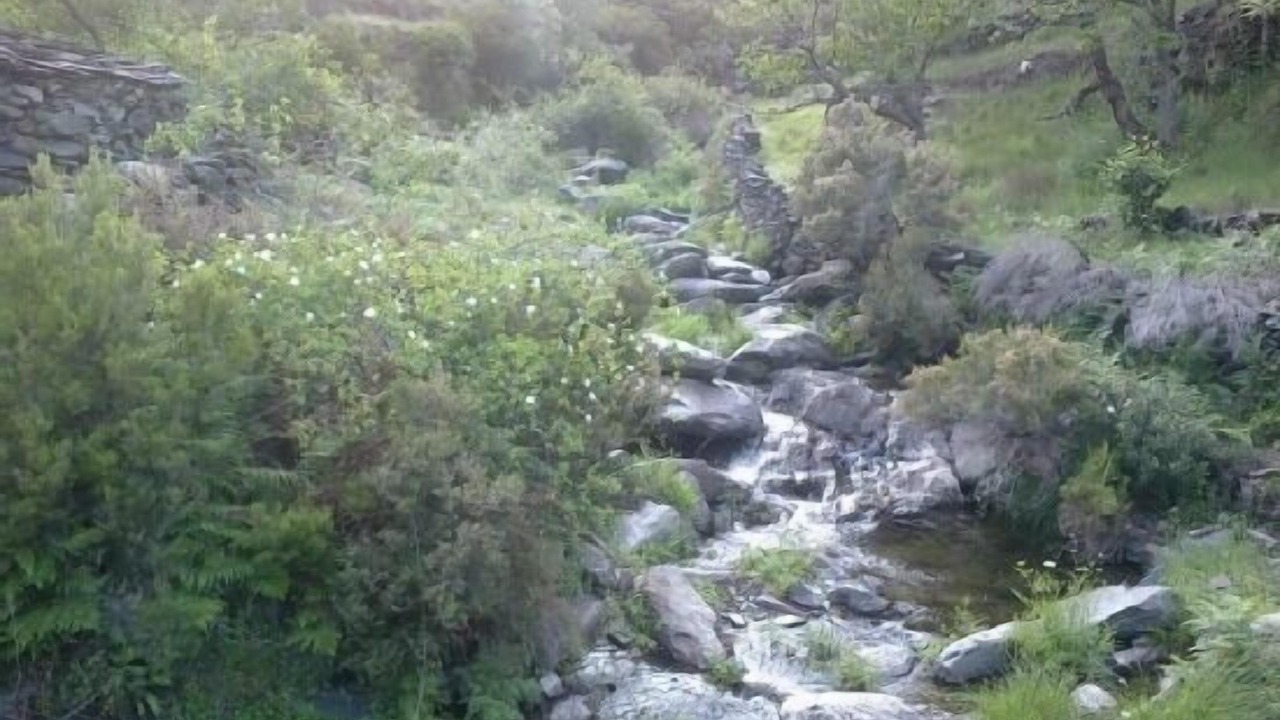 Photo of Outdoor in Pinofranqueado
