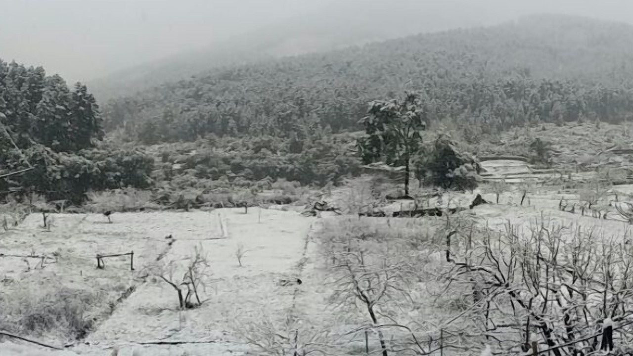 Photo of Others in Pinofranqueado
