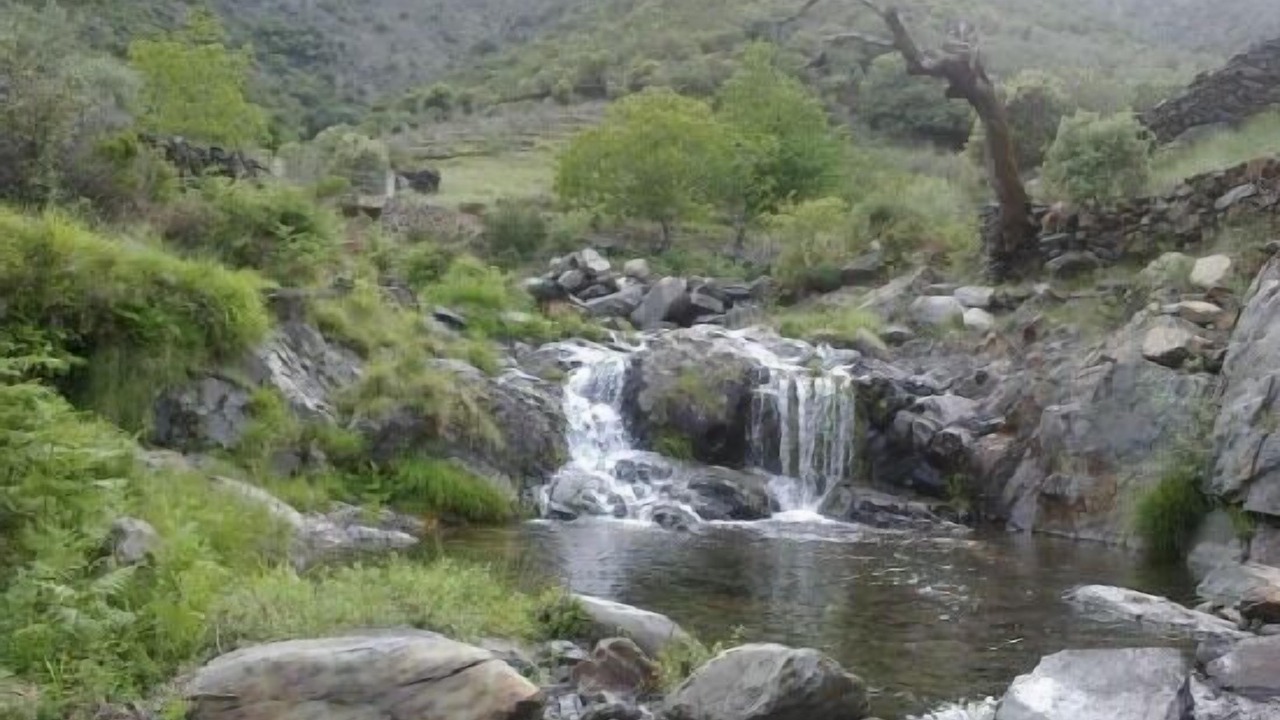 Photo of Outdoor in Pinofranqueado