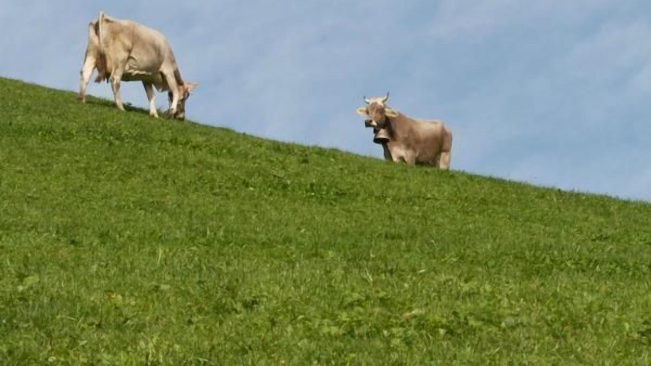 Photo of Others in Neckertal