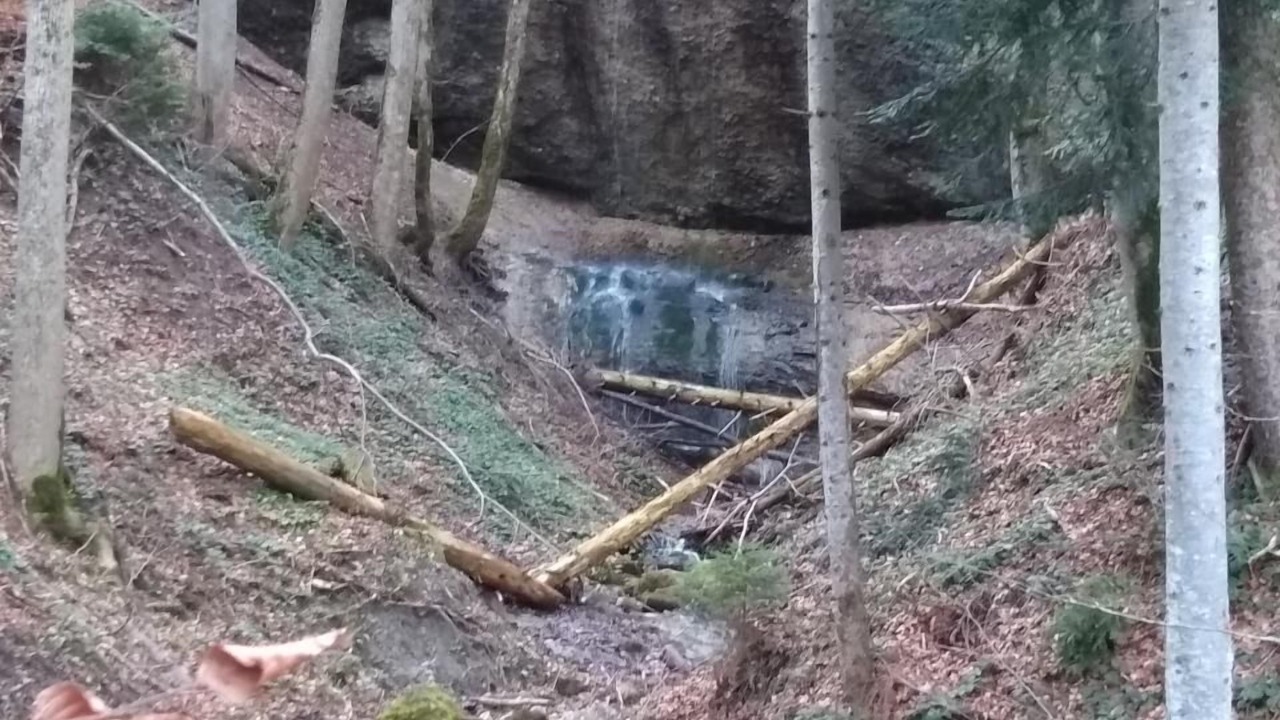Photo of Others in Neckertal