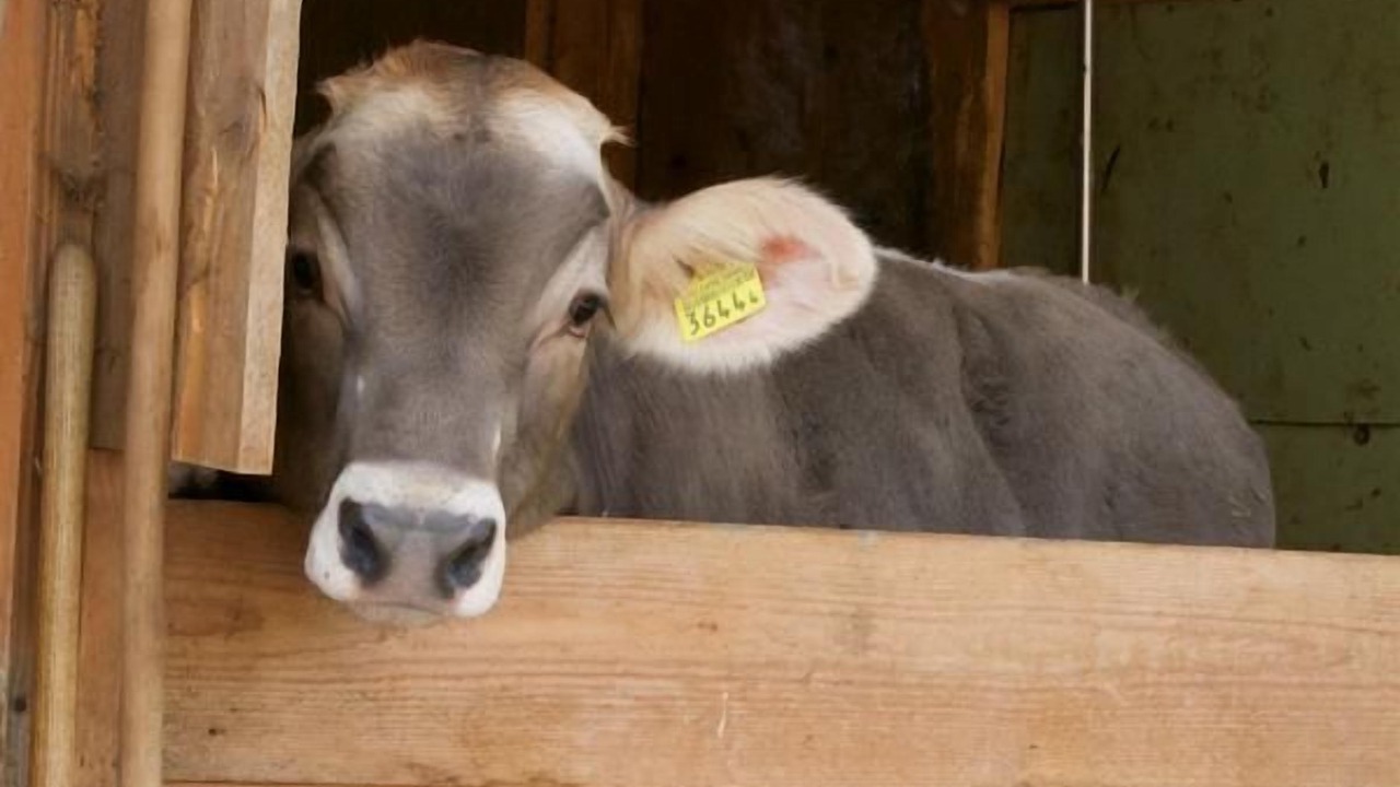 Photo of Others in Neckertal