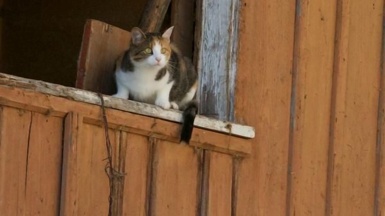 Photo of Others in Neckertal