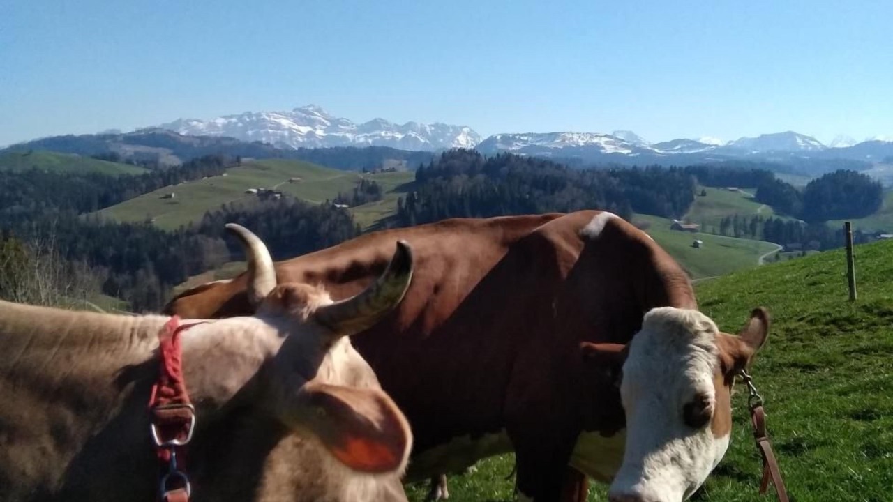 Photo of Others in Neckertal