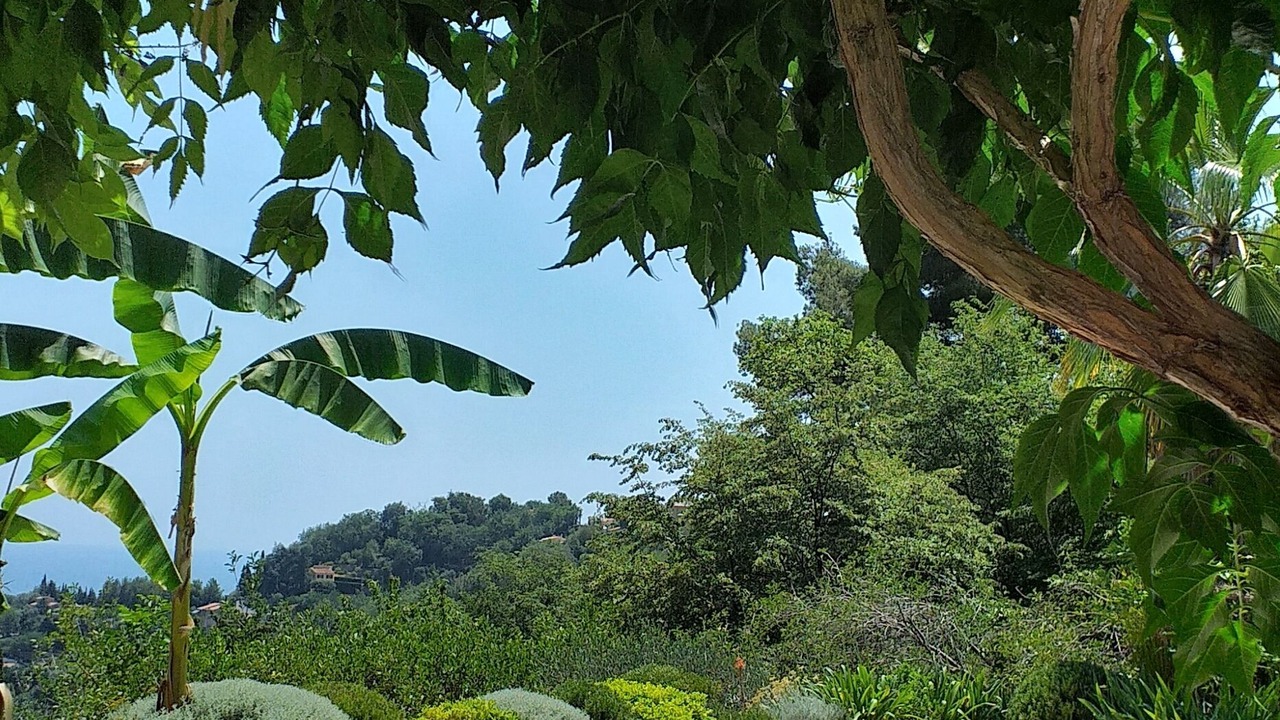 Photo of Outdoor in Castellar