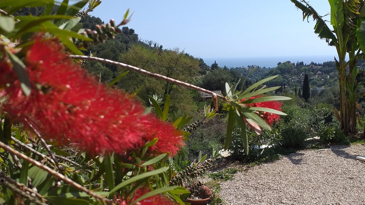 Photo of Outdoor in Castellar