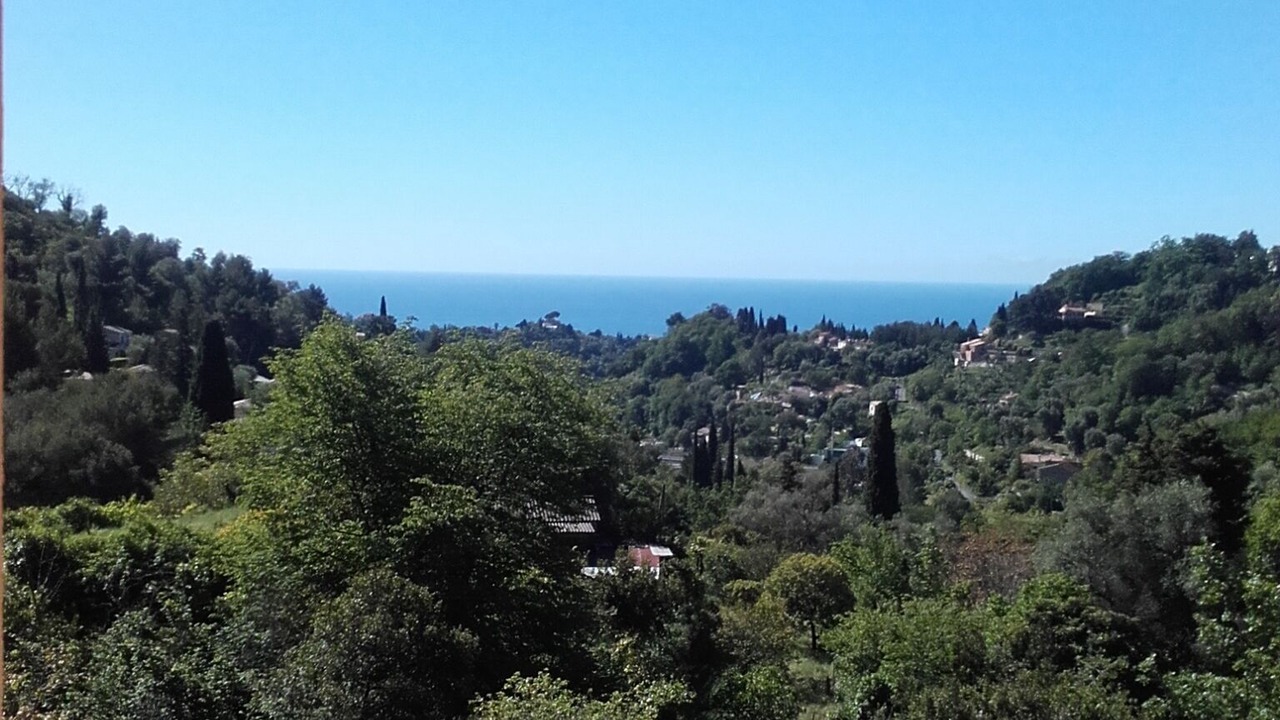 Photo of Others in Castellar