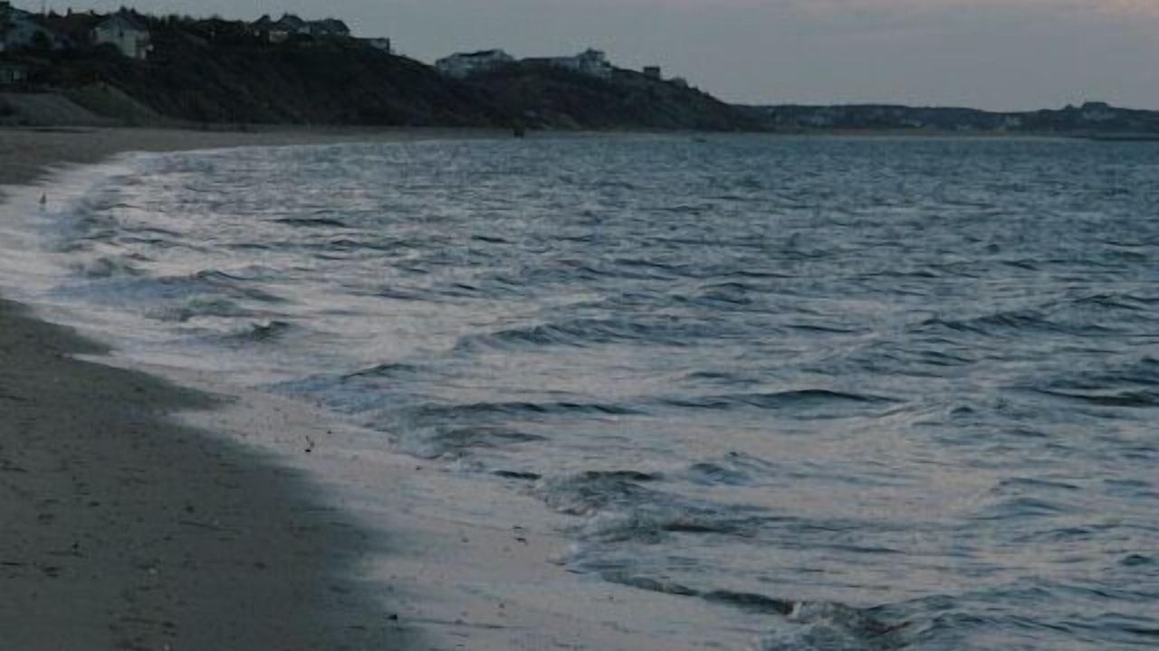 Photo of Others in North Truro