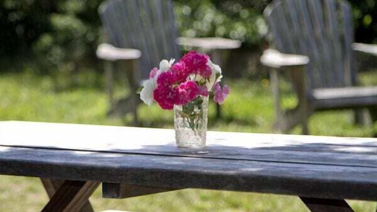 Photo of Outdoor in North Truro