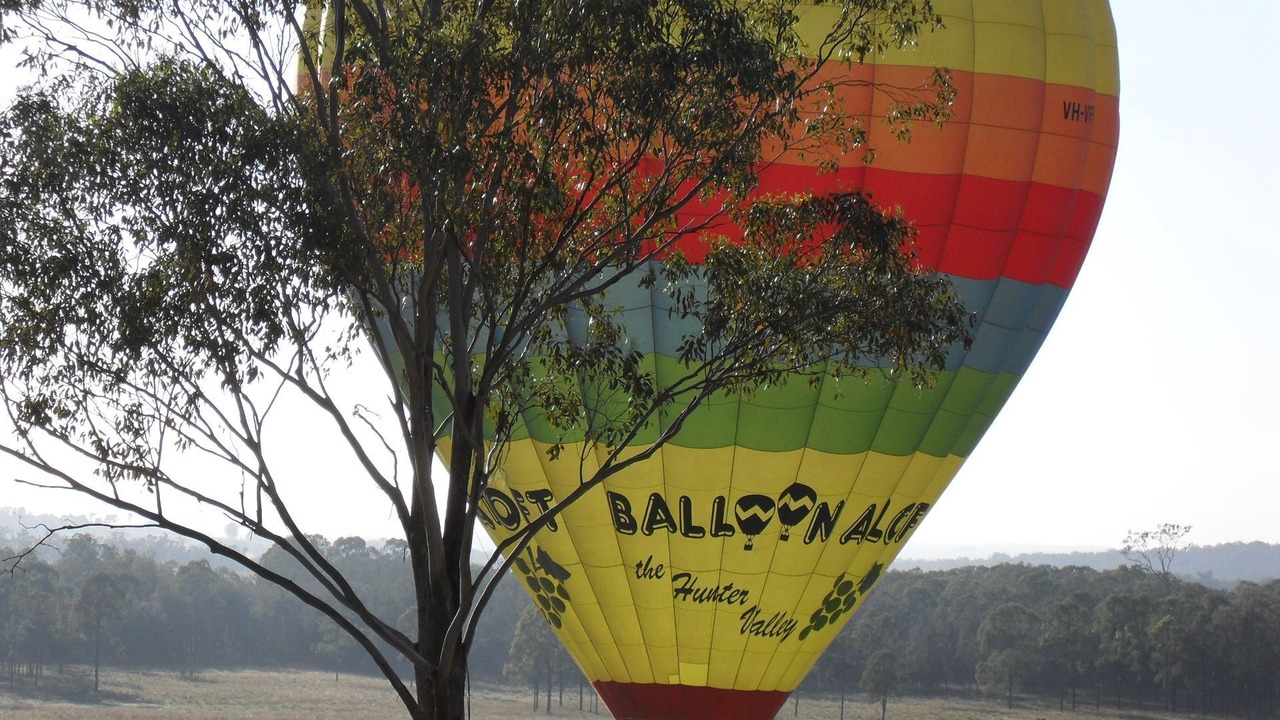 Photo of Outdoor in Pokolbin