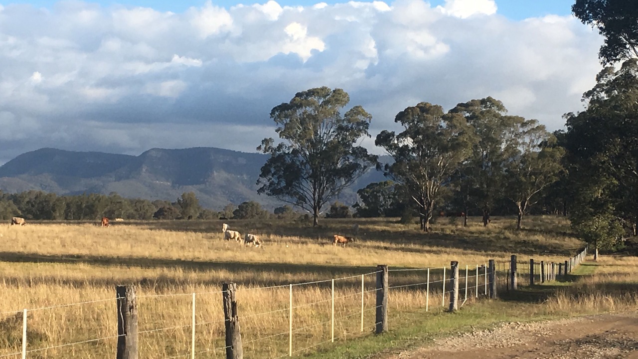 Photo of Others in Pokolbin