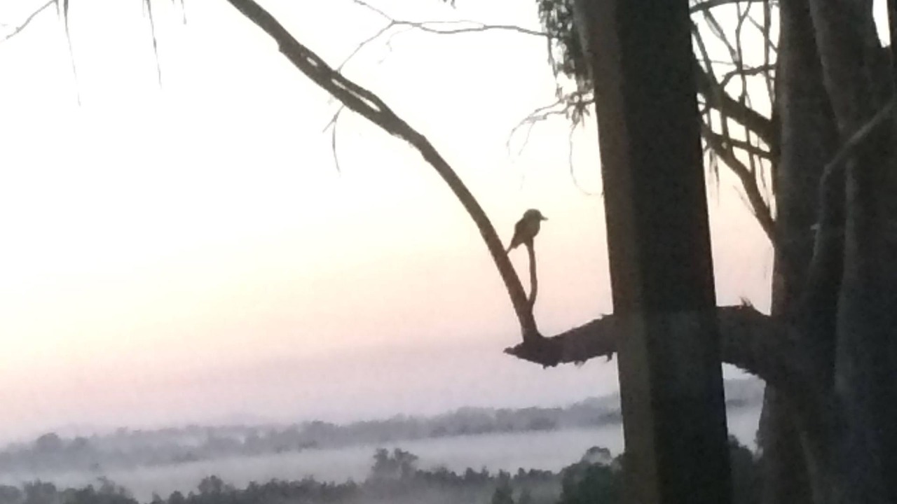 Photo of Others in Pokolbin