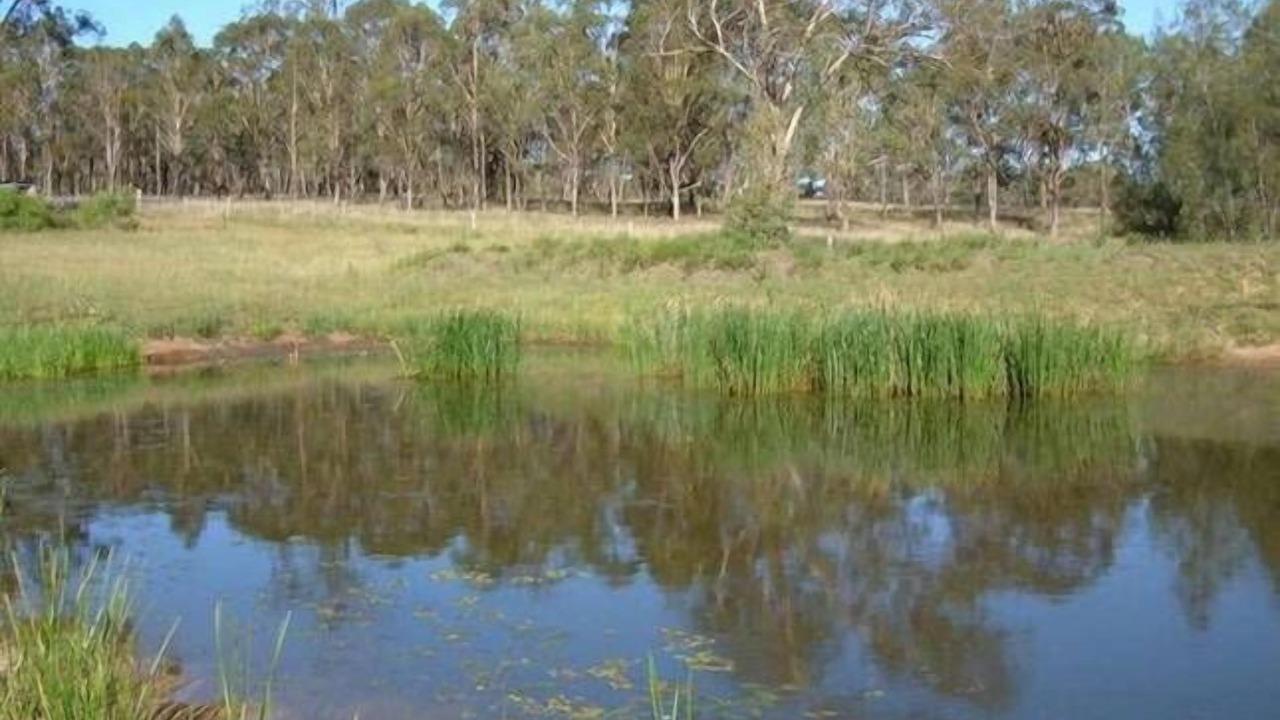 Photo of Outdoor in Pokolbin