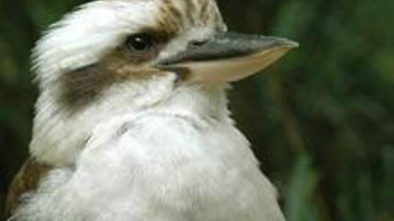 Photo of Outdoor in Pokolbin