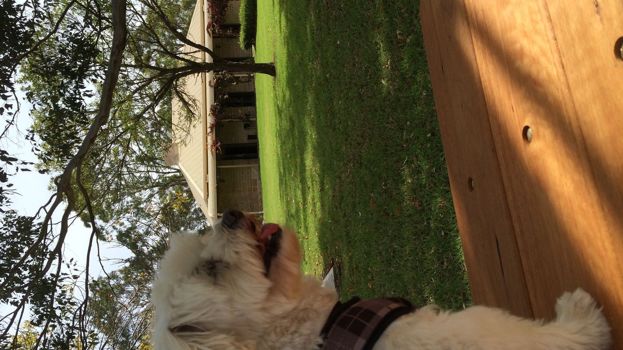 Photo of Outdoor in Pokolbin